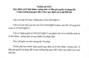 Chính phủ ban hành Nghị quyết mới xử lý khó khăn, vướng mắc về đấu giá quyền sử dụng đất ở 2 Anh man hinh 2026 01 07 luc 08.24.28