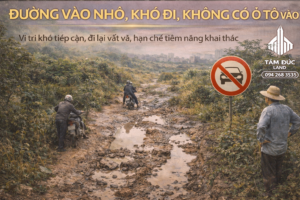 ChatGPT Image 10 12 27 22 thg 1 2026