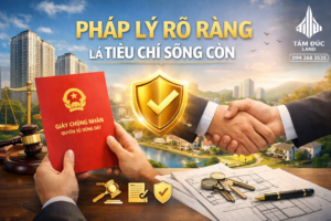 ChatGPT Image 21 21 14 18 thg 1 2026