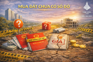 ChatGPT Image 22 03 40 18 thg 1 2026