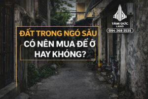 dat trong ngo sau co nen mua de o khong