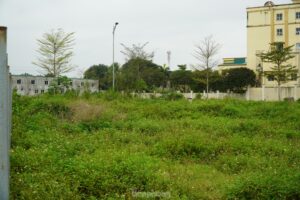 tp 04954 7361 1710635499083 17106355002531642594918