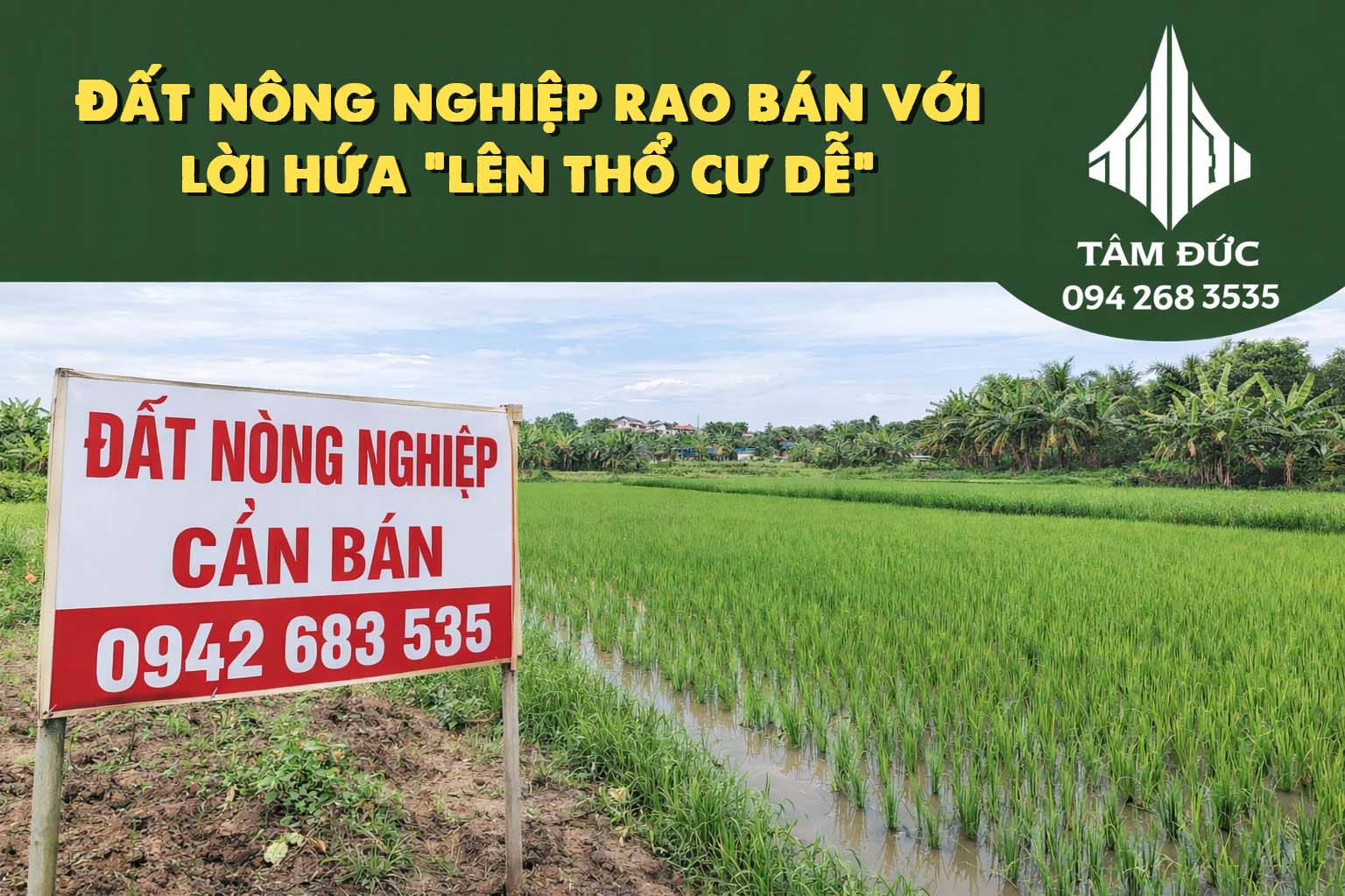 dat nong nghiep rao ban voi loi hua len tho cu de