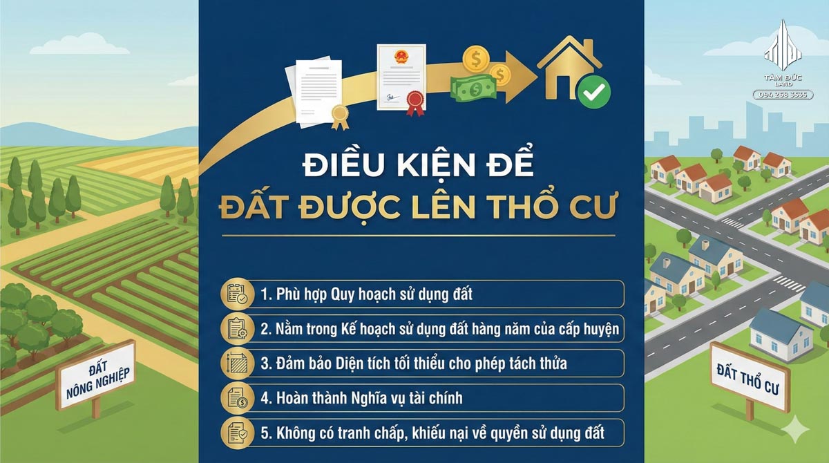 Đất chưa lên thổ cư mua được không | Đức BĐS Ninh Bình 5 Điều kiện để đất được lên thổ cư